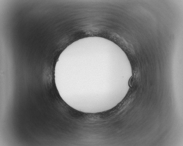 X0000101461012200807280955