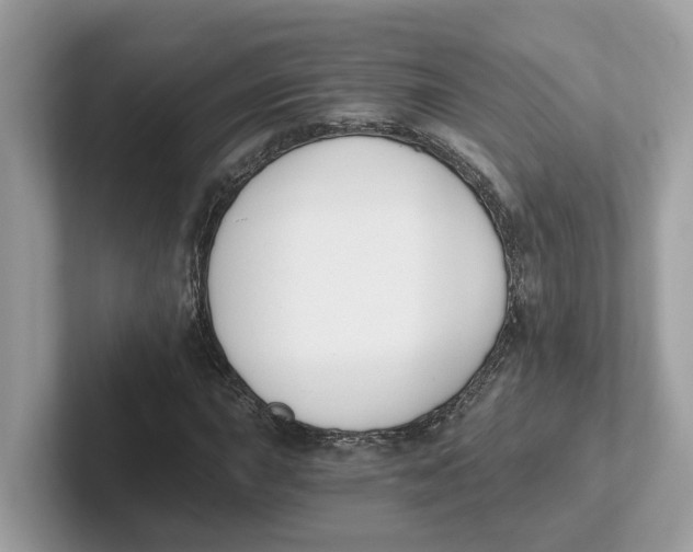 X0000101461015200807280955