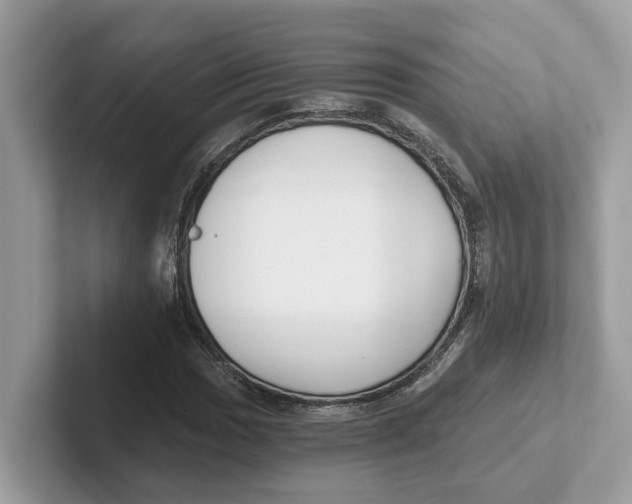 X0000101461017200807280955