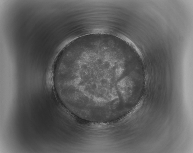 X0000101461019200807280955