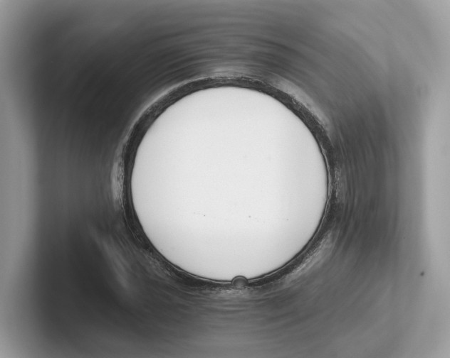 X0000101461021200807280955