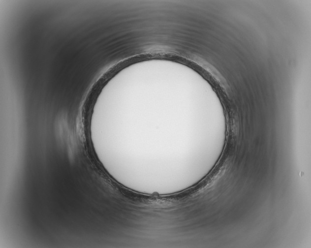 X0000101461022200807280955