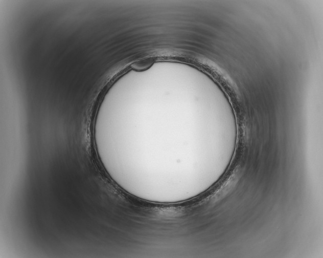 X0000101461025200807280955