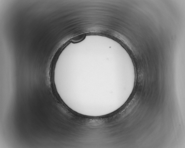 X0000101461026200807280955