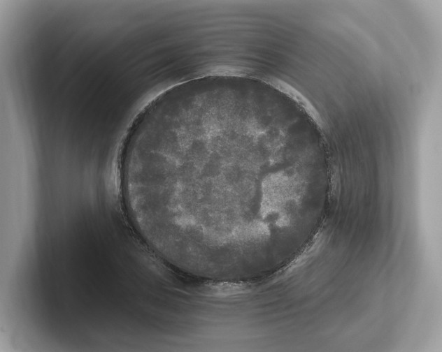 X0000101461027200807280955