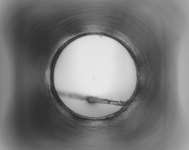 X0000101461030200807280955