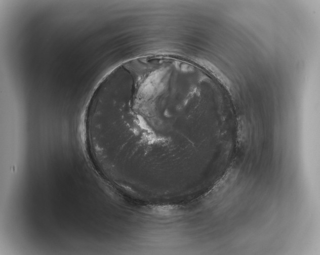 X0000101461031200807280955