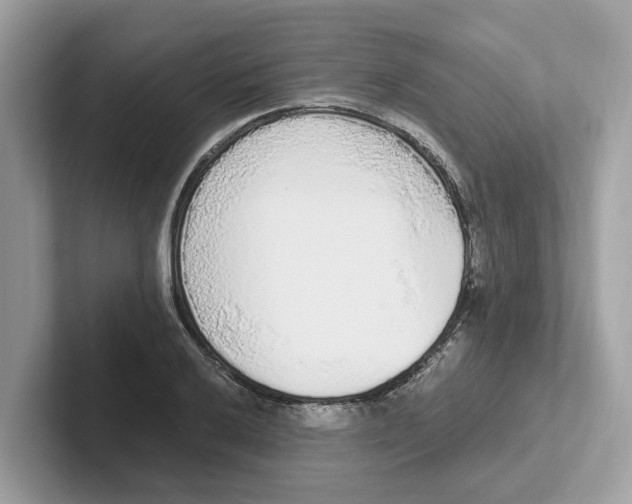 X0000101461032200807280955