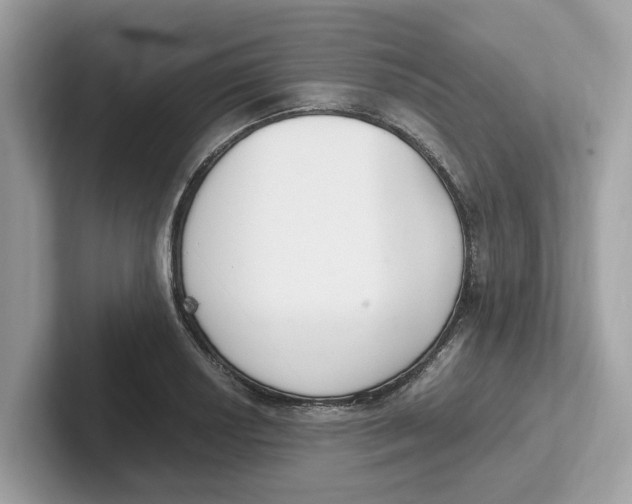 X0000101461034200807280955