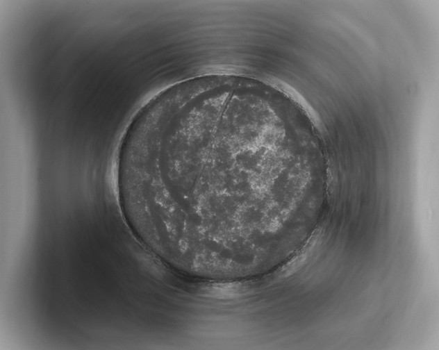 X0000101461035200807280955