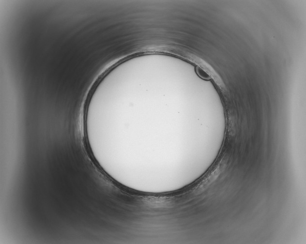 X0000101461036200807280955