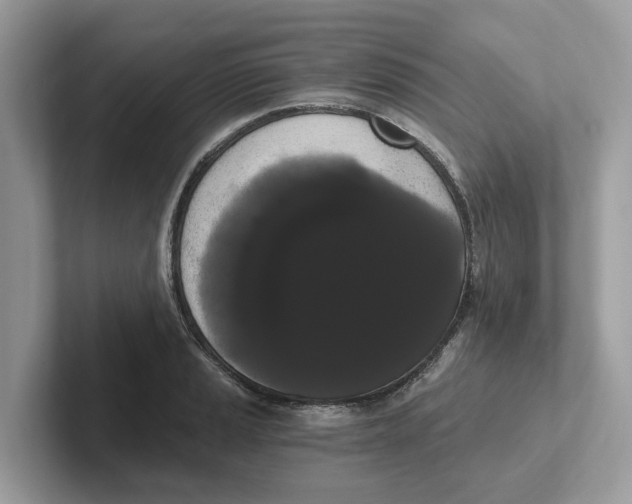 X0000101461037200807280955