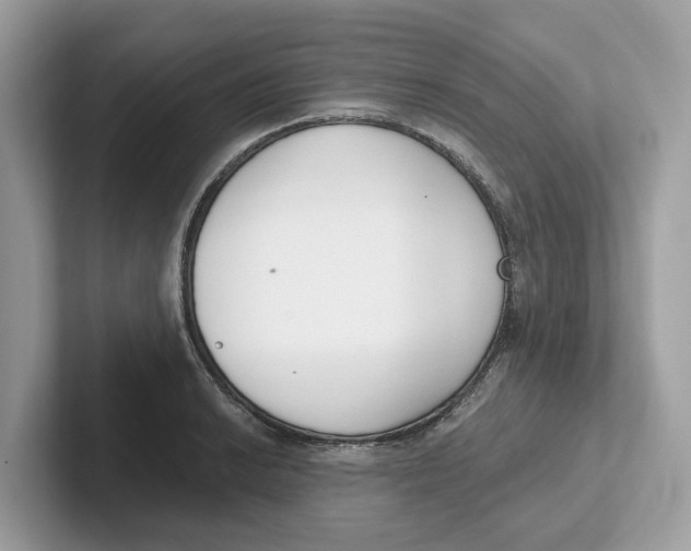 X0000101461038200807280955