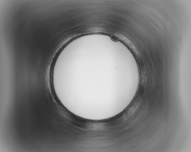 X0000101461039200807280955