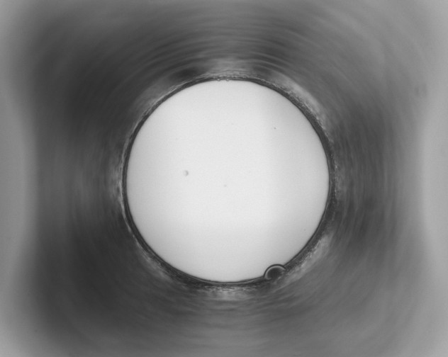 X0000101461041200807280955