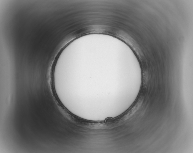 X0000101461042200807280955