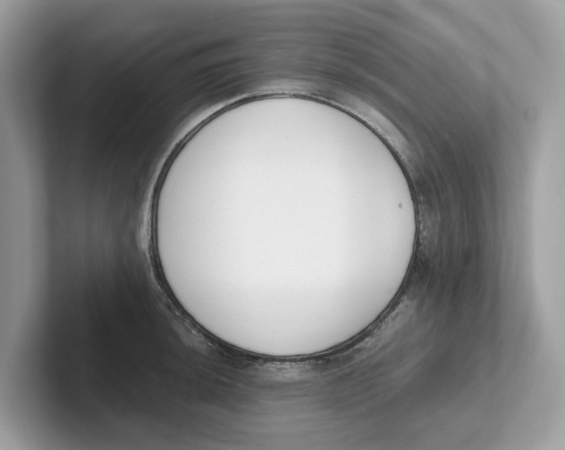 X0000101461044200807280955