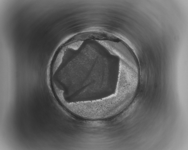 X0000101461045200807280955