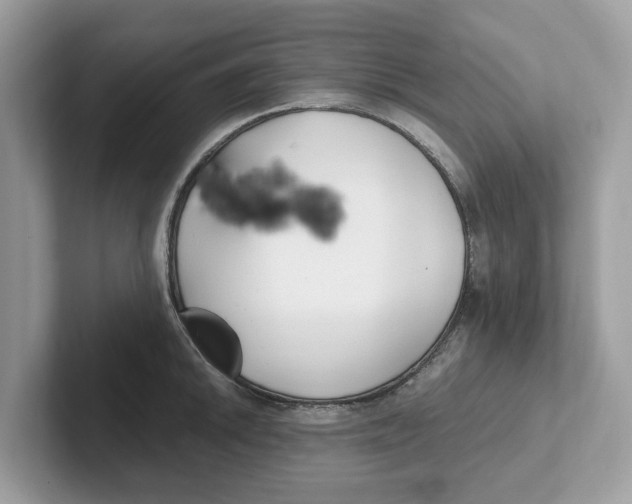 X0000101461046200807280955