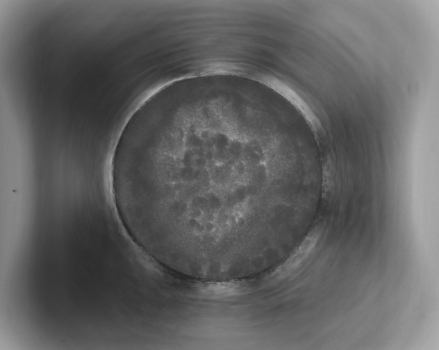 X0000101461047200807280955