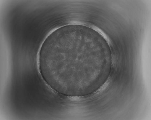 X0000101461048200807280955