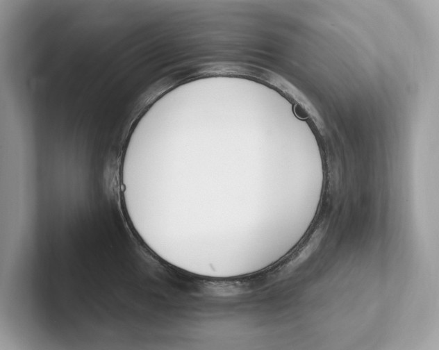 X0000101461049200807280955