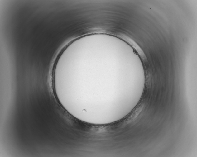 X0000101461051200807280955