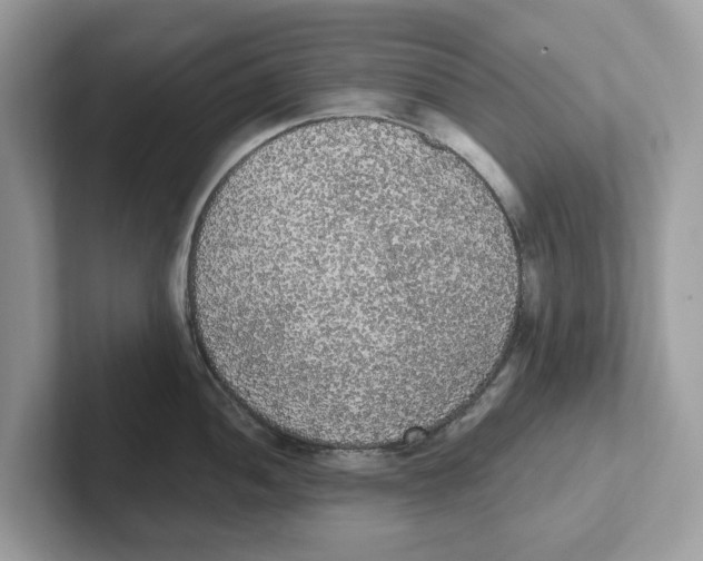 X0000101461052200807280955