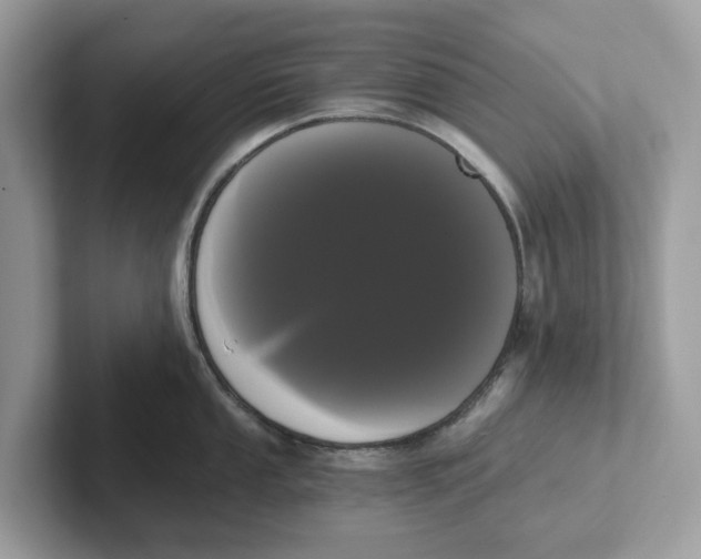 X0000101461053200807280955