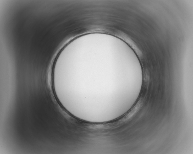 X0000101461054200807280955