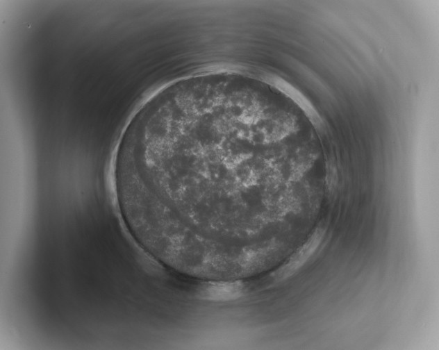 X0000101461055200807280955