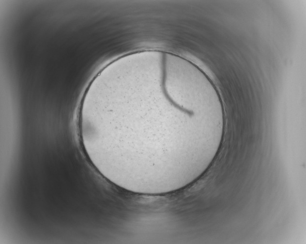 X0000101461056200807280955