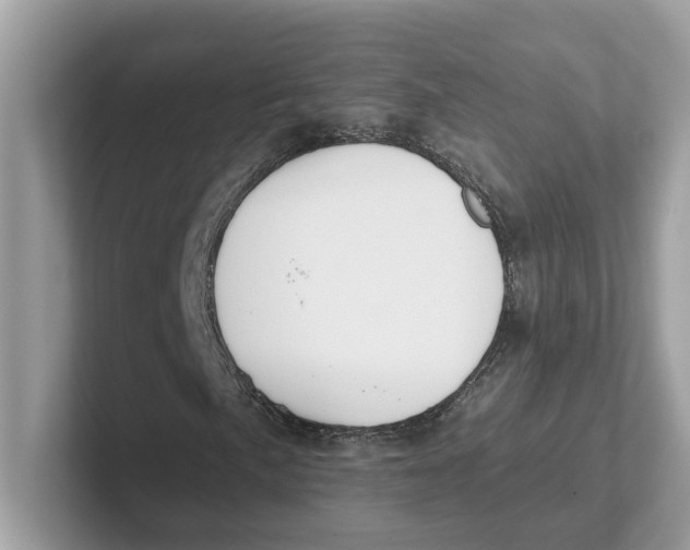 X0000101461057200807280955