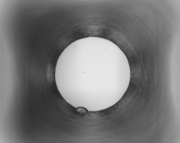 X0000101461058200807280955