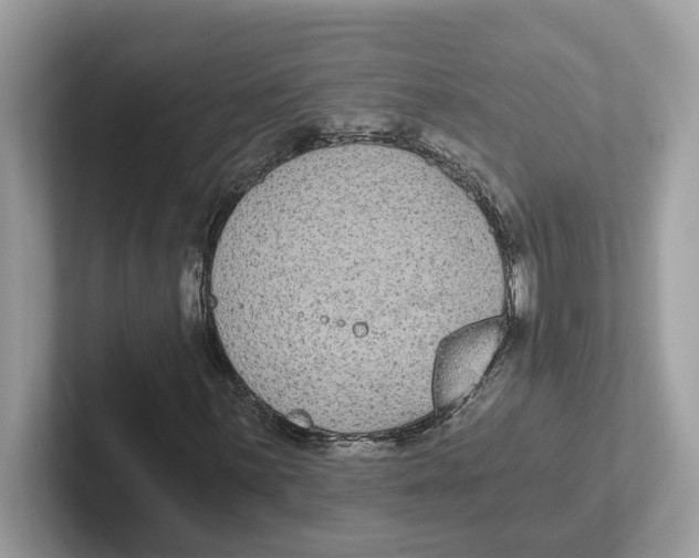 X0000101461059200807280955