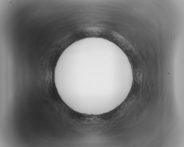 X0000101461061200807280955