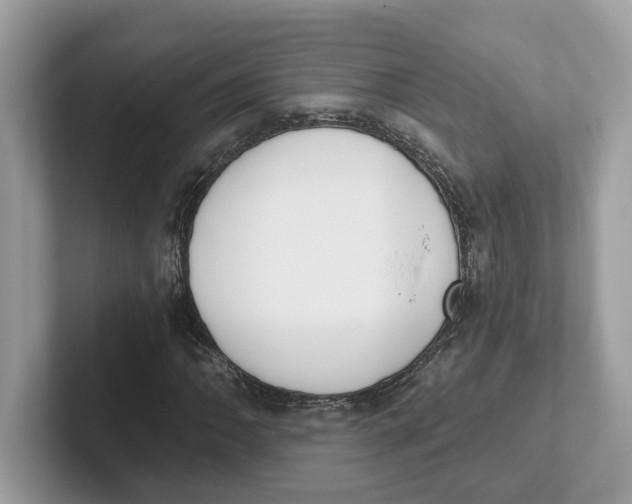 X0000101461062200807280955