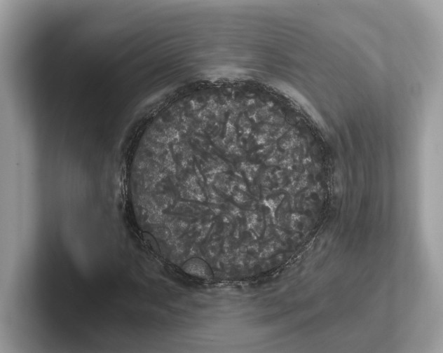 X0000101461063200807280955