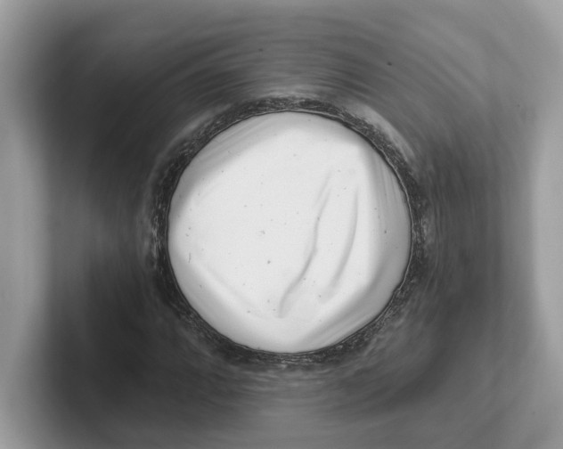 X0000101461064200807280955