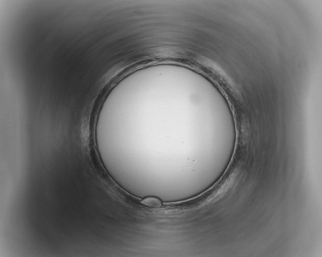 X0000101461065200807280955