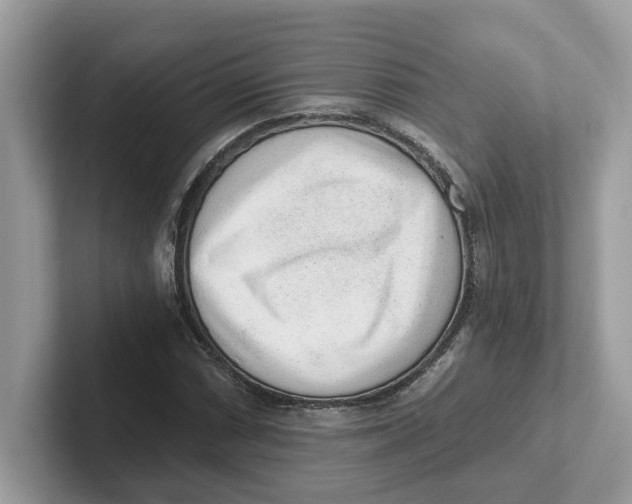 X0000101461066200807280955