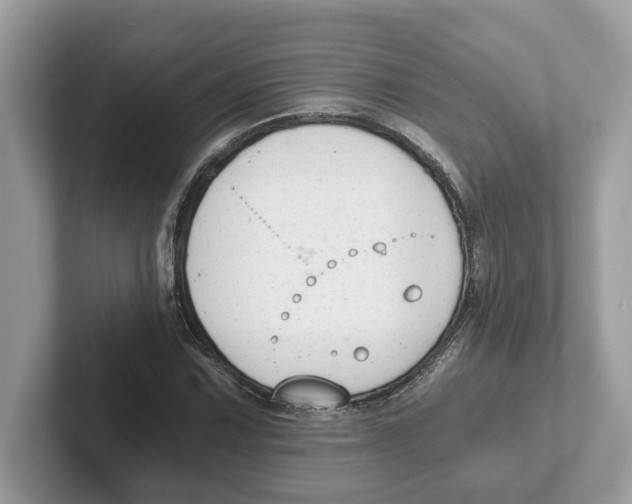 X0000101461067200807280955