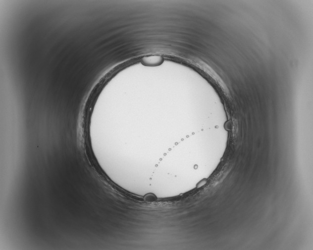 X0000101461068200807280955