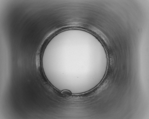 X0000101461069200807280955