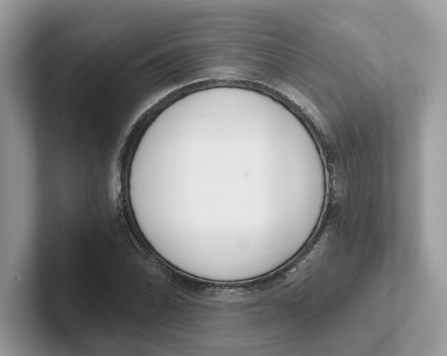 X0000101461070200807280955