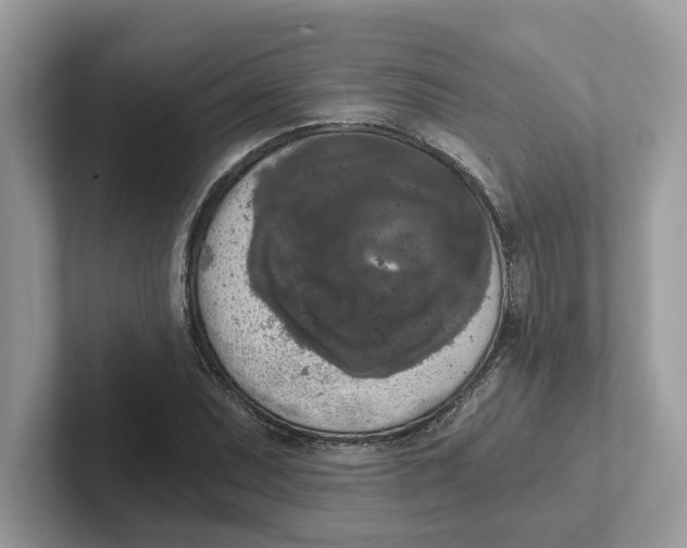 X0000101461071200807280955