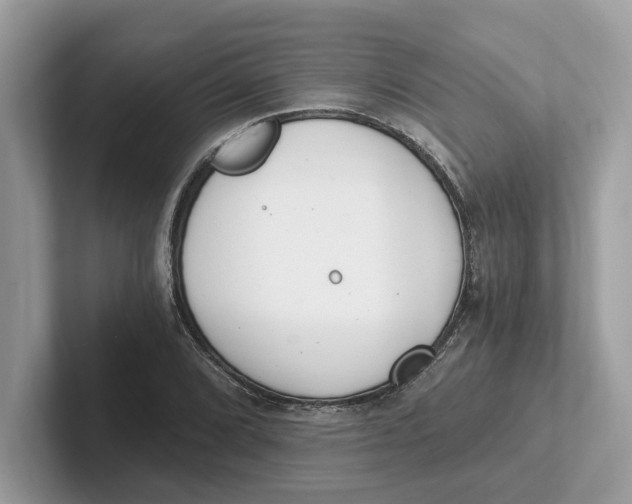 X0000101461072200807280955