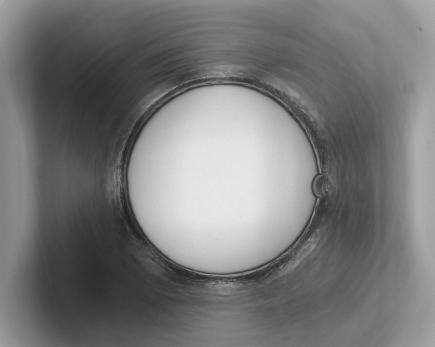 X0000101461073200807280955