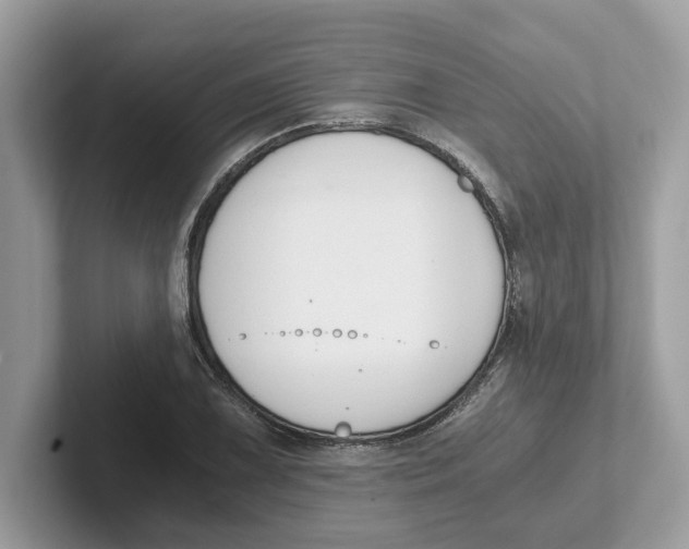 X0000101461075200807280954