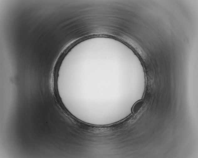 X0000101461076200807280954